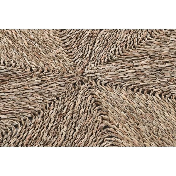 S3038169_3